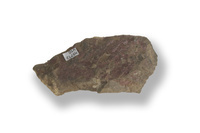 M 05712
<br/>
radiaalstralige aggregaatjes van Erythrien op diaklasen in siltiet
<br/>
<em></em>